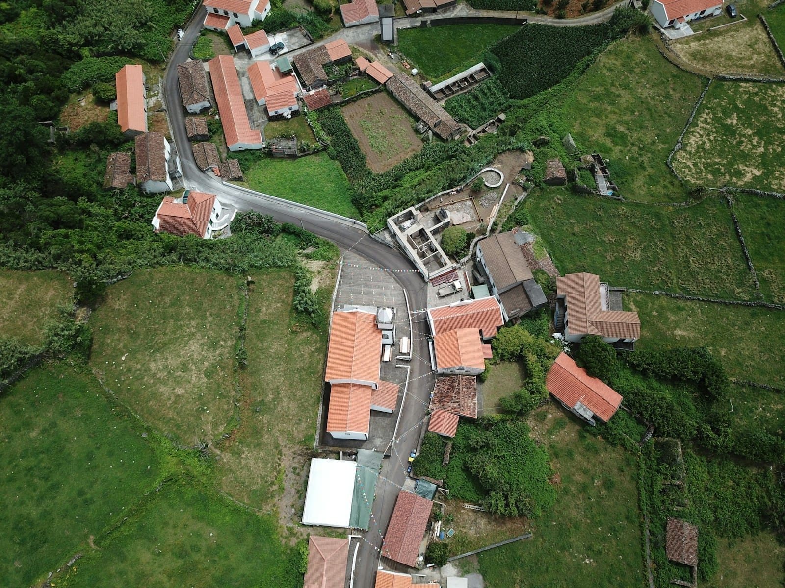 aerial view of buildings near rice field